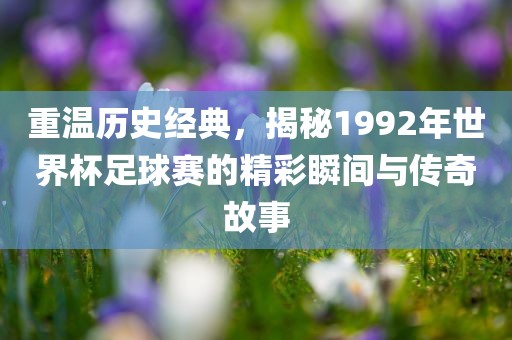重温历史经典，揭秘1992年世界杯足球赛的精彩瞬间与传奇故事