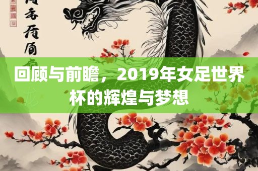 回顾与前瞻，2019年女足世界杯的辉煌与梦想眉山市正发家政服务有限公司