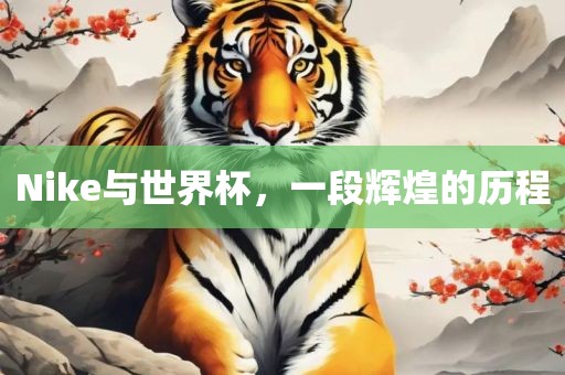 Nike与世界杯，一段辉煌的历程