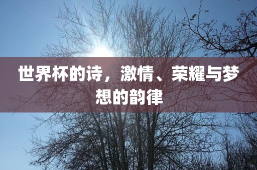 世界杯的诗，激情、荣耀与梦想的韵律眉山市正发家政服务有限公司