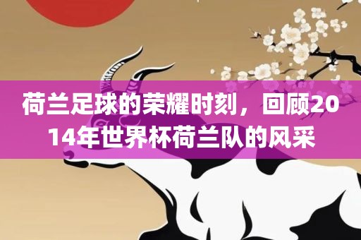 荷兰足球的荣耀时刻，回顾2014年世界杯荷兰队的风采