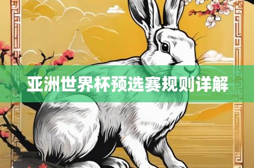 亚洲世界杯预选赛规则详解眉山市正发家政服务有限公司