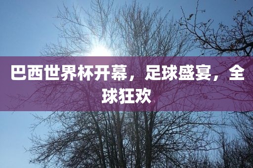 巴西世界杯开幕，足球盛宴，全球狂欢眉山市正发家政服务有限公司