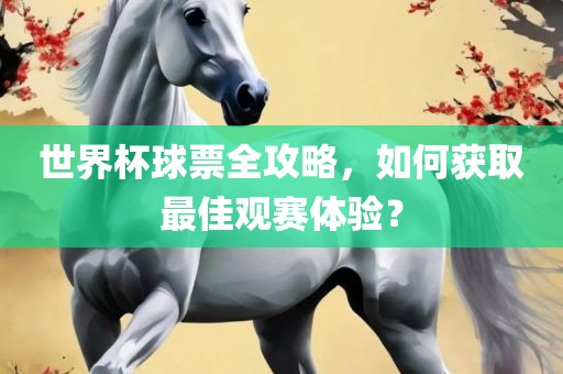 世界杯球票全攻略，如何获取最佳观赛体验？眉山市正发家政服务有限公司
