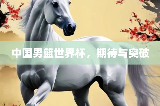 中国男篮世界杯，期待与突破