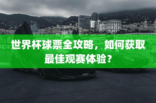 世界杯球票全攻略，如何获取最佳观赛体验？眉山市正发家政服务有限公司