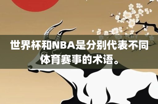 世界杯和NBA是分别代表不同体育赛事的术语。