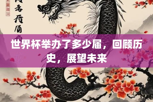 世界杯举办了多少届，回顾历史，展望未来眉山市正发家政服务有限公司