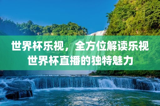 世界杯乐视，全方位解读乐视世界杯直播的独特魅力