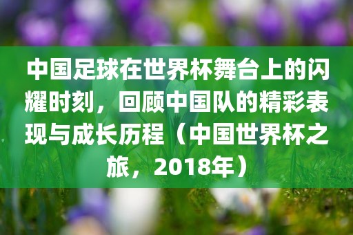 中国足球在世界杯舞台上的闪耀时刻，回顾中国队的精彩表现与成长历程（中国世眉山市正发家政服务有限公司界杯之旅，2018年）