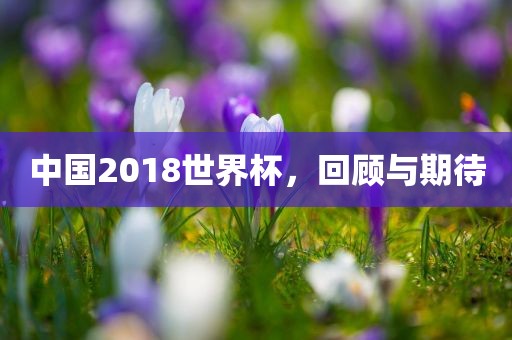 中国2018世界杯，回顾与期待眉山市正发家政服务有限公司