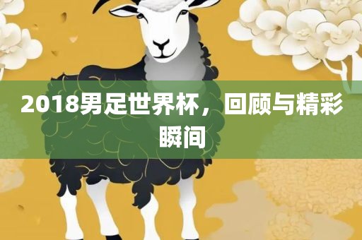 2018男眉山市正发家政服务有限公司足世界杯，回顾与精彩瞬间