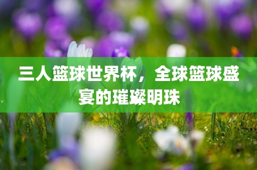 三人篮球世界杯，全球篮球盛宴的璀璨明珠