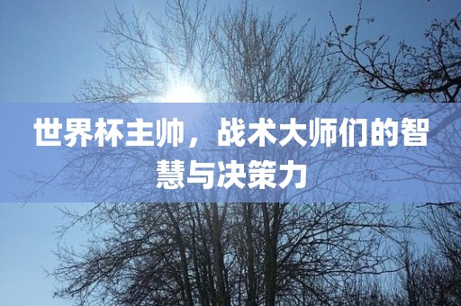 世界杯主帅，战术大师们的智慧与决策力