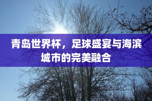 青岛世界杯，足球盛宴与海滨城市的完美融合眉山市正发家政服务有限公司