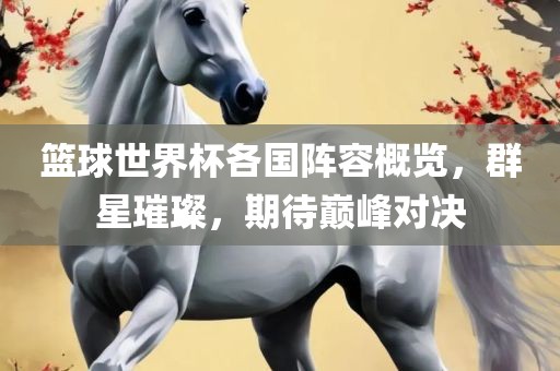 篮球世界杯各国阵容概览，群星璀璨，期待巅峰对决眉山市正发家政服务有限公司