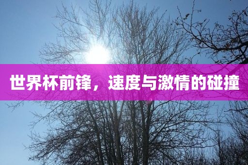 世界杯前锋，速度与激情的碰撞