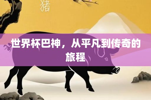 世界杯巴神，从眉山市正发家政服务有限公司平凡到传奇的旅程