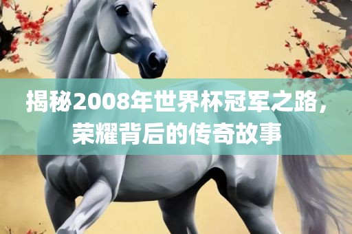 揭秘2008年世界杯冠军之路，荣耀背后的传奇故事