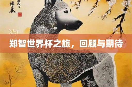 郑智世界杯之旅，回顾与期待