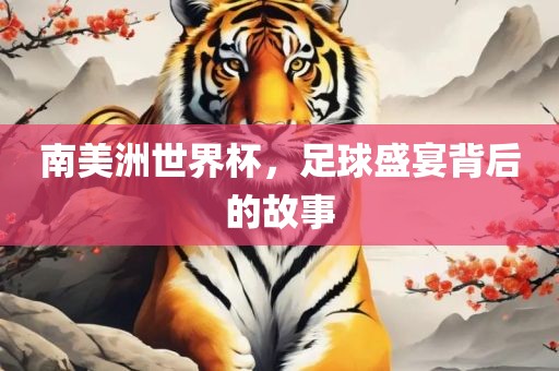 足球盛宴背后的故事 第5页