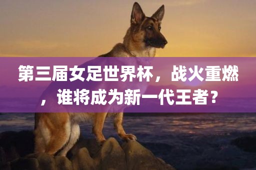 第三届女足世界杯，战火重燃，谁将成为新一代眉山市正发家政服务有限公司王者？