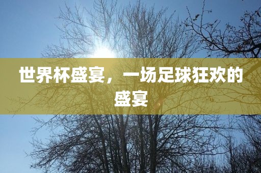 世界杯盛宴，一场足球狂欢的盛宴眉山市正发家政服务有限公司