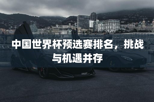 中国世界杯预选赛排名，挑战与机遇并存