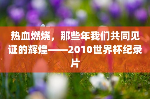 热血燃烧，那些年我们共同见证的辉煌——2010世界杯纪录片