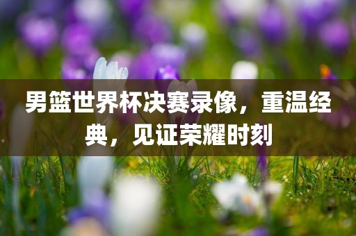 男篮世界杯决赛录像，重温经典，见证荣耀时刻