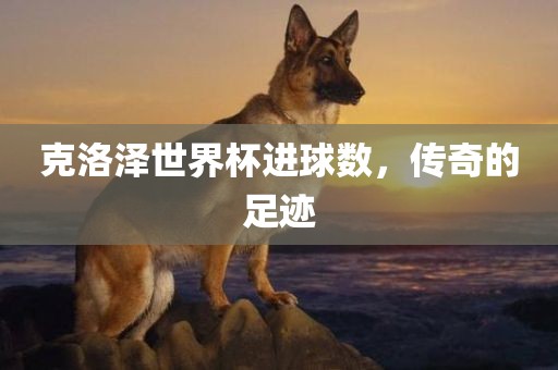 克洛泽世界杯进球数，传奇的足迹