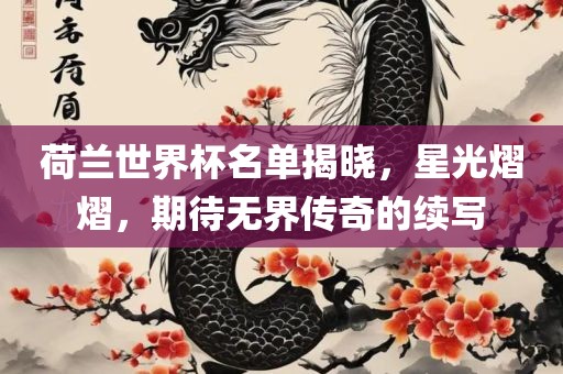 荷兰世界杯名单揭晓，星光熠熠，期待无界传奇的续写