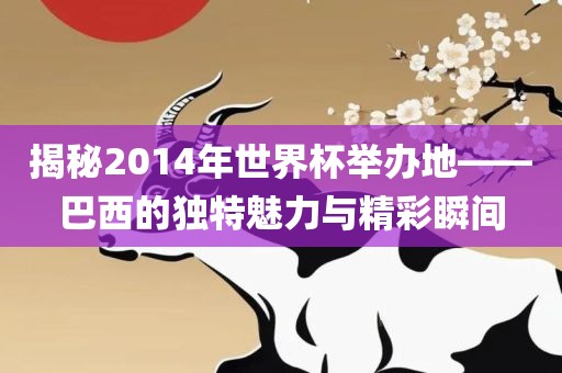 揭秘2014年世界杯举办地——巴西的独特魅力与精彩瞬间