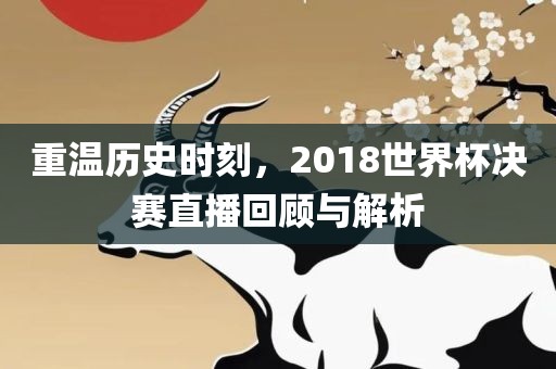 重温历史时刻，2018世界杯决赛直播回顾与解析眉山市正发家政服务有限公司
