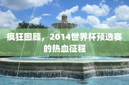 疯狂回顾，2014世界杯预选赛的热血征程