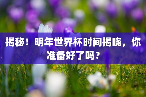 揭秘！明年世界杯时间揭晓眉山市正发家政服务有限公司，你准备好了吗？