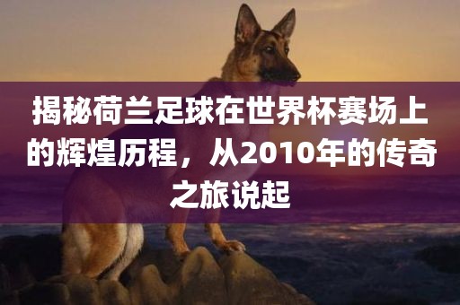 揭秘荷兰足球在世界杯赛场上的辉煌历程，从2010年的传奇之旅说起