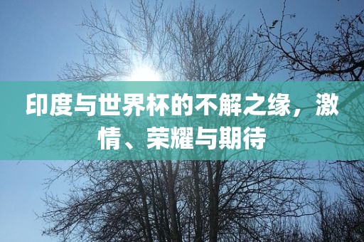 印度与世界杯的不解之缘，激情、荣耀与期待眉山市正发家政服务有限公司
