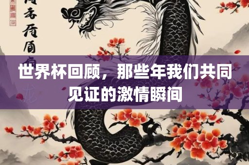 世界杯回顾，那些年我们共同见证的激情瞬间