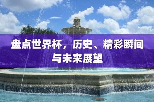 盘点世界杯，历史、精彩瞬间与未来展望眉山市正发家政服务有限公司