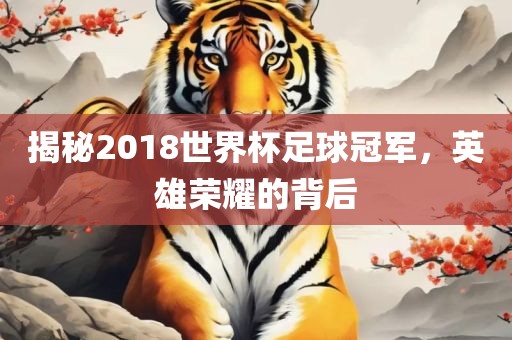 揭秘2018世界杯足球冠军，英雄荣耀的背后眉山市正发家政服务有限公司