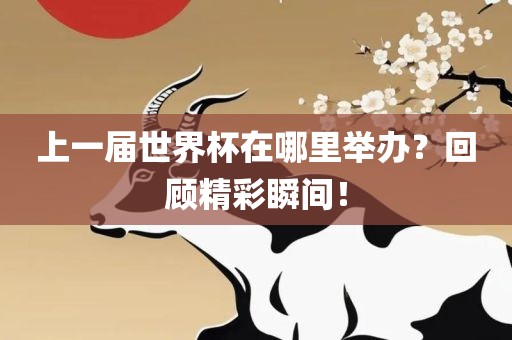 上一届世界杯在哪里举办？回顾精彩瞬间！