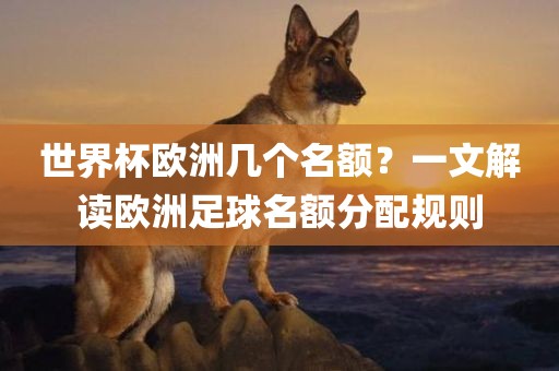 世界杯欧洲几个名额眉山市正发家政服务有限公司？一文解读欧洲足球名额分配规则