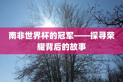 南非世界杯的冠军——探寻荣耀背后的故事眉山市正发家政服务有限公司