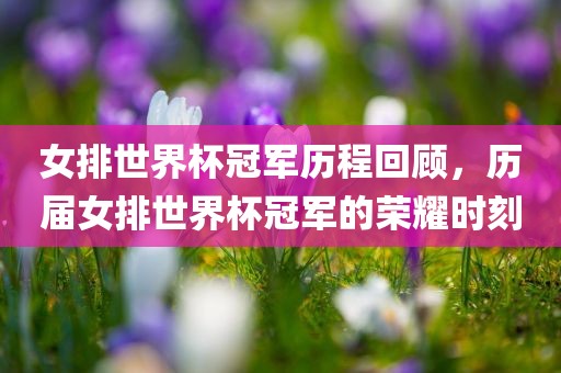 女排世界杯冠军历程回顾，历届女排世界杯冠军的荣耀时刻眉山市正发家政服务有限公司