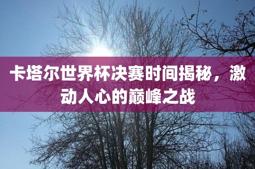卡塔尔世界杯决赛时间揭秘，激动人心的巅峰之战眉山市正发家政服务有限公司