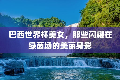 巴西世界杯美女，那些闪耀在绿茵场的眉山市正发家政服务有限公司美丽身影