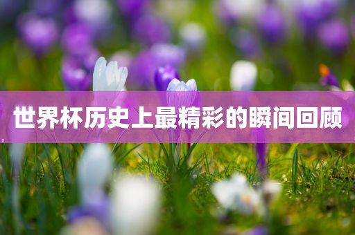 世界杯历史上最精彩的瞬间回顾