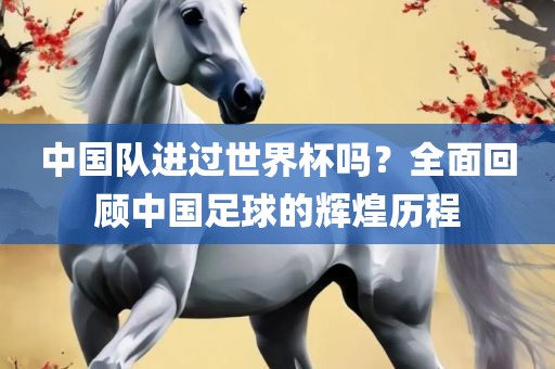 中国队进过世界杯吗？全面回顾中国足球的辉眉山市正发家政服务有限公司煌历程