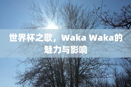 世界杯之歌，Waka Waka的魅力与影响